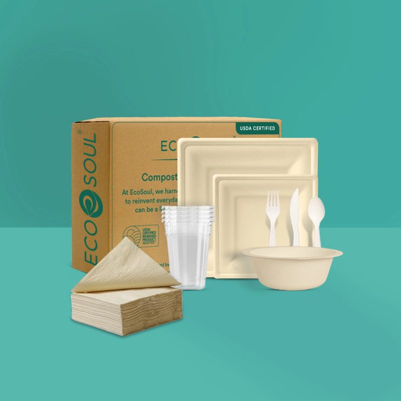 Bagasse Square Party Pack