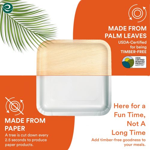 Palm Leaf Comparison